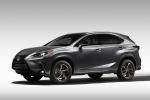 Lexus NX300 Black Line 2019 года (NA)
